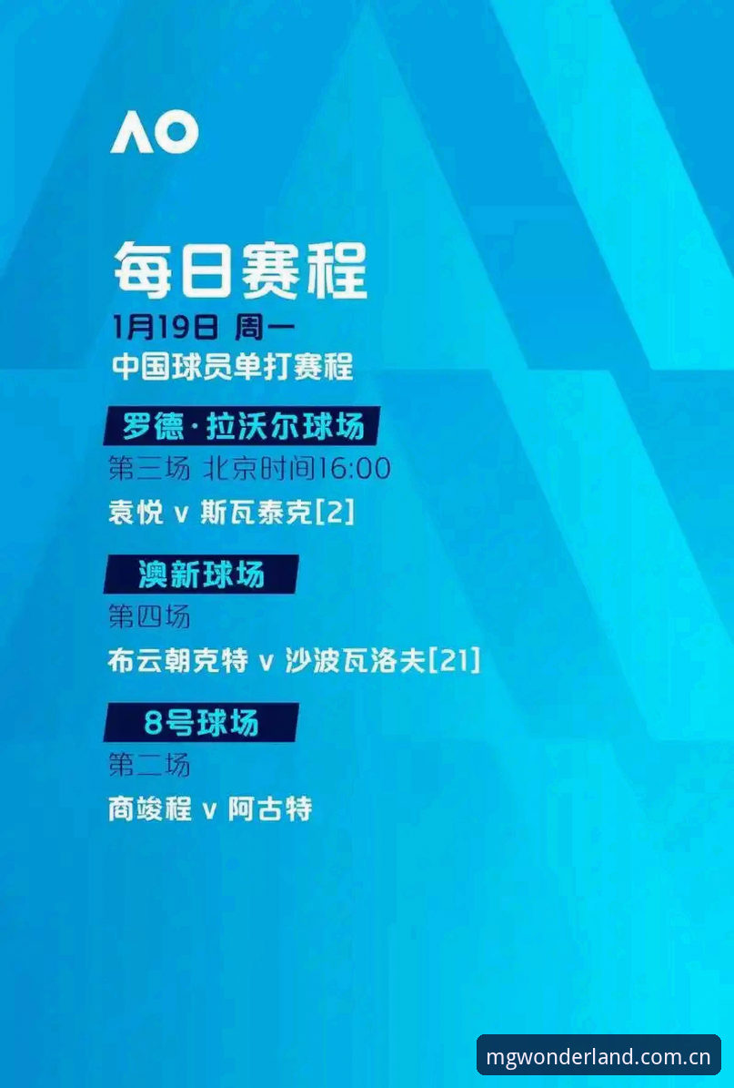 世界杯观赛风波解读：从签证困境看赛事冷场现象